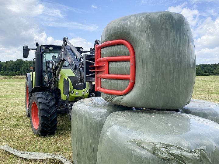 Bild: 20220625-105730.jpg